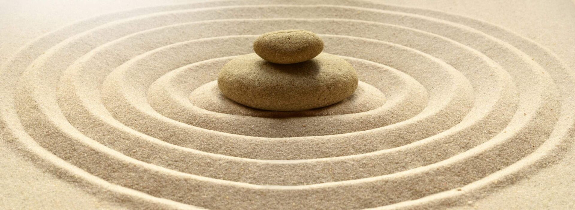 First step of organization is complete time to adjust for success